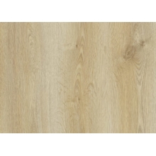 Panele podłogowe AGT Natura Line - PRK 501 Trend Oak - AC6 8mm