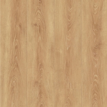 Panele podłogowe FAUS - SENSE - Nutmeg Oak - AC6 8mm