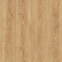 Panele podłogowe FAUS - SENSE - Nutmeg Oak - AC6 8mm