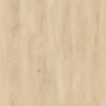 Panele podłogowe FAUS - SENSE - Pump Oak - AC6 8mm