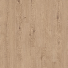 Panele podłogowe FAUS - ECO - Toja Oak AC5 8mm