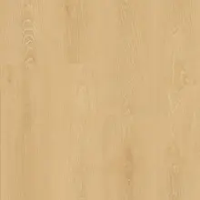 Panele podłogowe FAUS - TEMPO - Miranda Oak - AC5 8mm