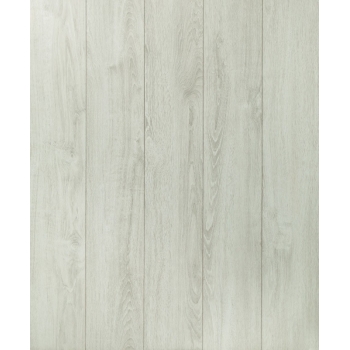 Panele podłogowe Wild Wood GOLD PLUS - Dąb Alpejski -  AC6 12mm