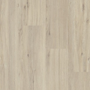 Panele podłogowe FAUS - TEMPO - Champagne Oak - AC5 8mm